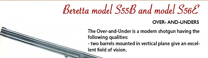 Beretta S55 banner