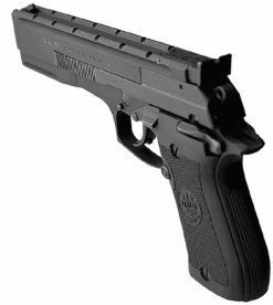 Model 87 Target .22lr LH