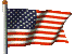 the USA flag